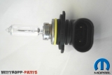 Scheinwerferbirne HIR2 12V 55W - original Mopar (OEM)